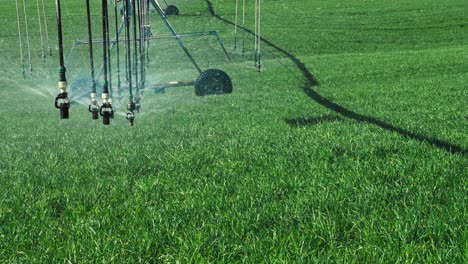 Central-pivot-irrigation-system-close-up,-water-spraying-from-sprinkler-nozzles-on-crop