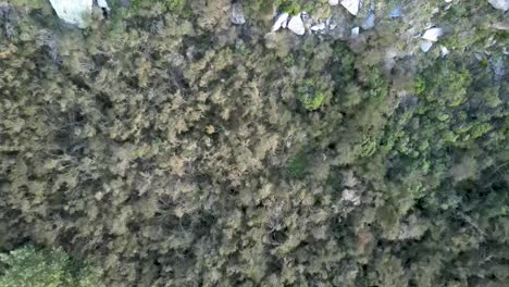 Aerial-Zenithal-Shot-of-Sierra-de-los-Padres-in-Argentina,-Going-Up