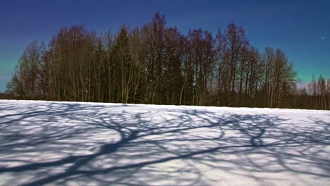 Hiperlapso-De-Luces-Del-Norte-Detrás-De-Los-árboles-En-Un-Día-De-Invierno-Nevado