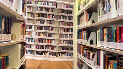 Libros-Dispuestos-En-Estantes-Elegantes-En-La-Biblioteca-De-Orchard-En-Singapur