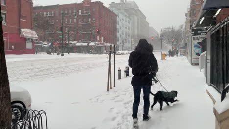 Los-Perros-Se-Encuentran-En-La-Nieve-Fresca-En-La-Acera-De-La-Ciudad-De-Nueva-York