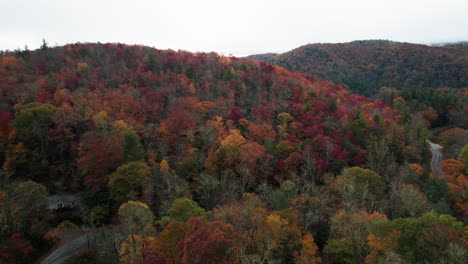 Langsame-Drohnenaufnahme-Der-Herbstlichen-Bergfarben-In-Den-Great-Smokey-Mountains-In-North-Carolina