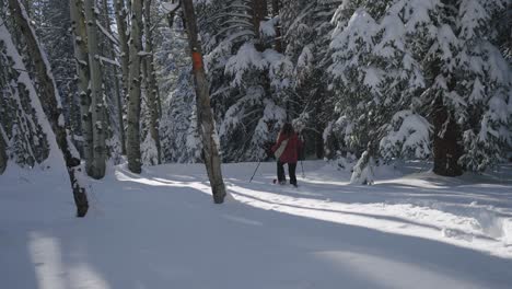 Spaziergang-Durch-Tiefen-Schnee-Im-Wald