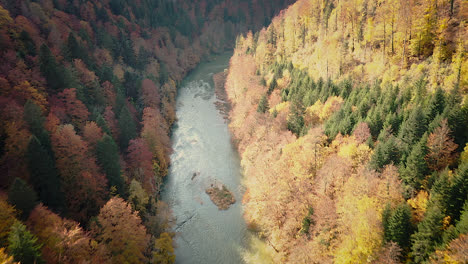 Beautiful-aerial-of-colorful-fall-tree-foliage-lining-river-bank-valley-in-autumn
