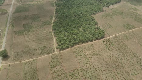 Vista-Aérea-De-Drones-Volando-Por-Encima-De-Prado-Verde-Africano-Sin-Cultivar-Campo-Rural-Desierto-Kenia