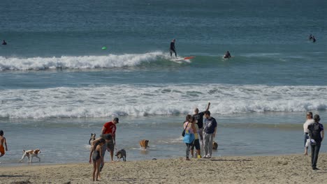 Mann-Wirft-Am-Huntington-Beach-Dog-Beach-Einen-Frisbee-Für-Seinen-Hund-Ins-Meer