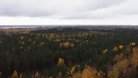 Rising-drone-aerial-of-a-thick-mixed-forest-in-autumn