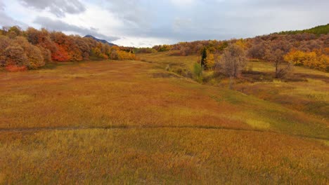 A-colorful-mountain-meadow-in-autumn-with-fall-colors---pull-back-aerial-flyover-between-the-aspens