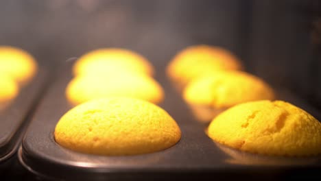 Time-lapse-of-batter-rising-and-becoming-cupcakes-inside-the-oven