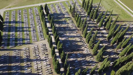 Cementerio-Con-Cipreses-En-Un-Día-Soleado