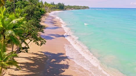 People-swim-at-tropical-palm-fringed-beach,-crystal-clear-Caribbean,-drone