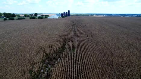 Luftaufnahme-Von-Maisfeldern-Bei-Der-Überführung-Einer-Farm-In-Kentucky