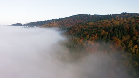 Aerial-push-in-towards-mountain-forest-in-autumn-covered-in-blanket-of-fog