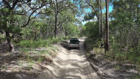 Off-road-truck-drives-on-rutted-deep-sandy-road-through-open-forest