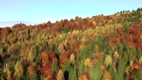 Luftaufnahme-über-Dem-Herbstwald,-Der-Durch-Den-Nebel-Eine-Ferne-Bergkette-Enthüllt