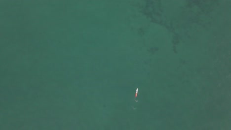 Vertikale-Luftaufnahmen-Blicken-Auf-Einen-Einsamen-Paddleboarder-Im-Seichten-Grünen-Meer
