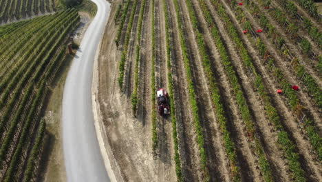 Farmer-harvesting-vineyard-with-tractor-machinery