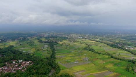 Pequeñas-Aldeas-De-Indonesia-Y-Campos-Masivos-De-Arroz,-Vista-De-Drones-De-Gran-ángulo