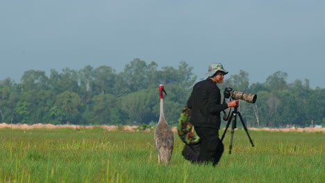Man-keeping-his-photography-equipment-as-the-Big-Bird-watches-making-it-sure-that-he-takes-everything-with-him