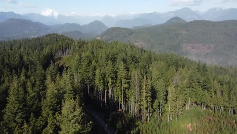 Bear-Mountain-Park-–-Mission-British-Columbia-–-Miracle-Valley-–-Drohnenaufnahmen-1080p-–-Richtung-Westen