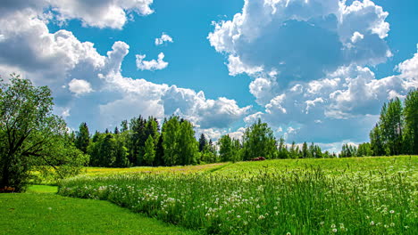 Time-lapse-shot-of-white-clouds-in-motion-at-blue-sky-above-green-grass-field-with-flowers-and-plants-during-spring