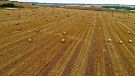 Scenic-overview-of-wheat-crop-after-being-harvested-and-rolled-into-hay-bales-on-the-agricultural-field-by-the-side-of-a-road-in-the-countryside