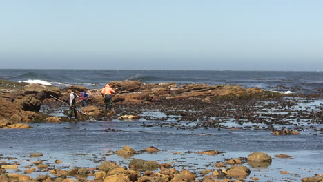 Krebse-An-Der-Felsigen-Küste-Südafrikas-Fangen