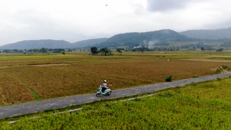 Aerial-orbiting-around-woman-without-helmet-driving-Vespa-on-rural-road-between-rice-fields,-Yogyakarta-in-Indonesia