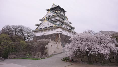 Japón-En-Primavera,-Castillo-De-Osaka-Y-Cerezo-4k