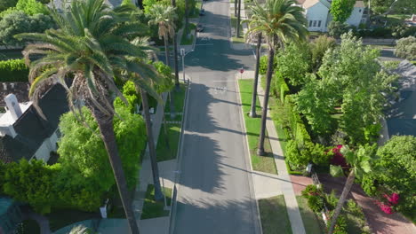 So-Fly,-Aerial-Footage-of-Luxurious-Palm-Tree-Lined-Beverly-Hills-Residential-Street