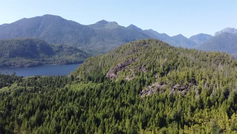 Remote-Forest-Aerial-of-Kennedy-Lake,-Laylee-Island,-Vancouver-Island,-Canada
