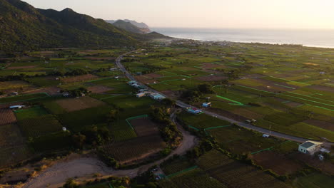 Campos-Agrícolas-Verdes-En-Nui-Chua,-Vietnam---Toma-Aérea
