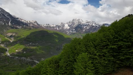 Green-forest-with-lush-vegetation-covering-mountains-in-spring