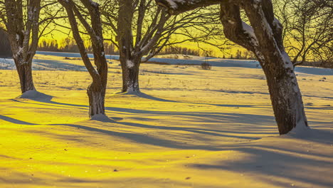 Zeitrafferaufnahme-Eines-Kalten-Winterabends-Mit-Goldener-Sonnenuntergangsreflexion,-Die-Auf-Den-Waldboden-In-Einer-Ländlichen-Landschaft-Fällt