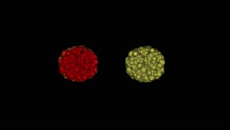 Animated-two-neutrons-atoms-or-cells-for-video-overlay