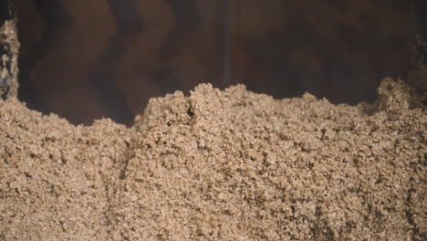 STEAMING-MALT-MASH-OUT-DURING-BEER-BREWING-PROCESS-IN-A-BREWERY