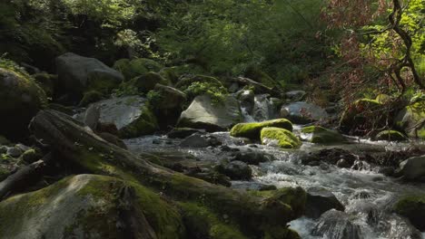 Üppige-Wälder-Und-Flüsse-Des-Mount-Daisen-Bei-Sonnenaufgang,-Tottori,-Japan