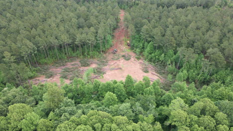 Drone-shot-of-trees-being-cut-down-by-lumberjacks,-clearing-an-area-for-a-new-neighborhood
