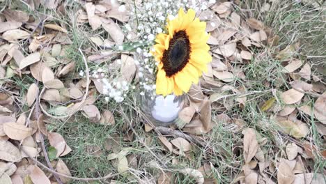 Gelbe-Sonnenblume-Mit-Schleierkraut-In-Einer-Vase-Auf-Dem-Boden-Mit-Abgefallenen-Trockenen-Blättern-Am-Hochzeitsort-Im-Garten