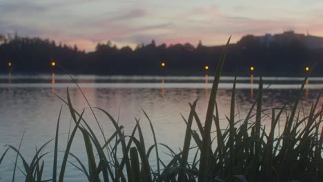 Grashalme-Am-Ufer-Eines-Natürlichen-Sees-Bei-Farbenfrohem-Sonnenuntergang-Im-Hintergrund