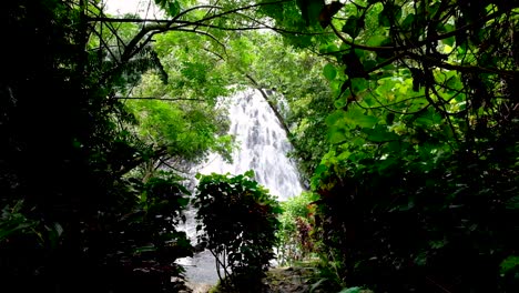 The-beautiful-Kepirohi-Waterfall-through-the-forest-trees-on-the-tropical-island-in-Pohnpei,-Federated-States-of-Micronesia-FSM