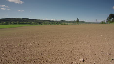 8-WEEK-TIMELAPSE-ZOOM-IN-from-tilled-field-to-lush-green-crops