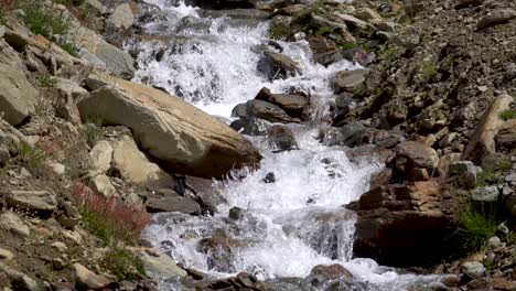 Close-up-rocks-and-small-river-stream-in-mountain-valley,-Italian-Alps-Europe