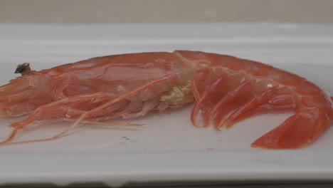 Fresh-raw-red-shrimp-splashing-on-water-at-slow-motion