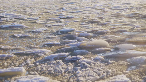 Melted-ice-blocks-rippling-in-freezing-sea-on-sunny-day,-medium-shot