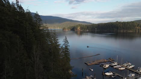 Langsame-Drohnenaufnahme-Von-Bäumen-Und-Booten,-Die-In-Einem-See-In-Vancouver,-Britisch-Kolumbien,-Angedockt-Sind