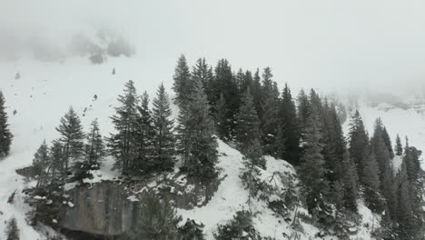 Beim-Flug-über-Kiefern-Auf-Einem-Berggipfel-Kommt-Eine-Kleine-Hütte-In-Einer-Atemberaubenden,-Schneebedeckten-Landschaft-Zum-Vorschein