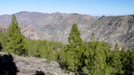 Tilt-up-over-a-desertic-valley-in-Gran-Canaria,-Canary-Islands,-Spain