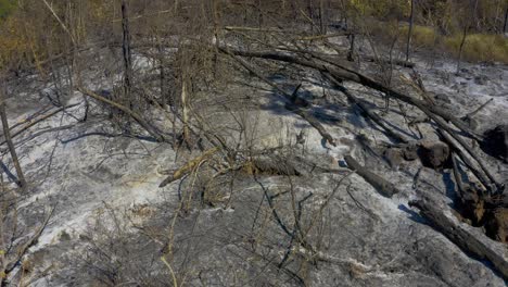 Wildfires-leave-ash-and-deforestation-in-Brazil's-Amazon-rain-forest---aerial-flyover