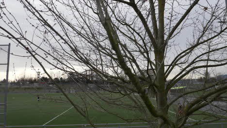 Trucking-shot-showing-tree-and-empire-soccer-field-in-Vancouver-during-training-session